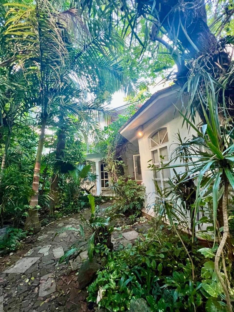 Apartamento Casa del Arquitecto Cancún Exterior foto